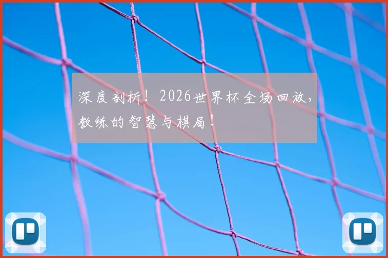 深度剖析！2026世界杯全场回放，教练的智慧与棋局！